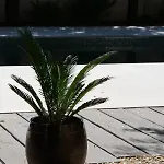 Dependance De Bastide Casa Amarelia Avec Piscine Patio Parking 4 Etoiles Lejlighed