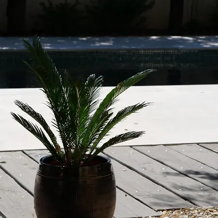 Dependance De Bastide Casa Amarelia Avec Piscine Patio Parking 4 Etoiles Apartment