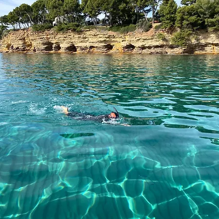 Lejlighed Dependance De Bastide Casa Amarelia Avec Piscine Patio Parking 4 Etoiles La Ciotat